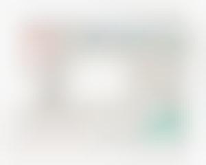 Купить Швейную Машину Некки 205d